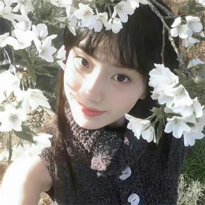 学园孤岛 真人版